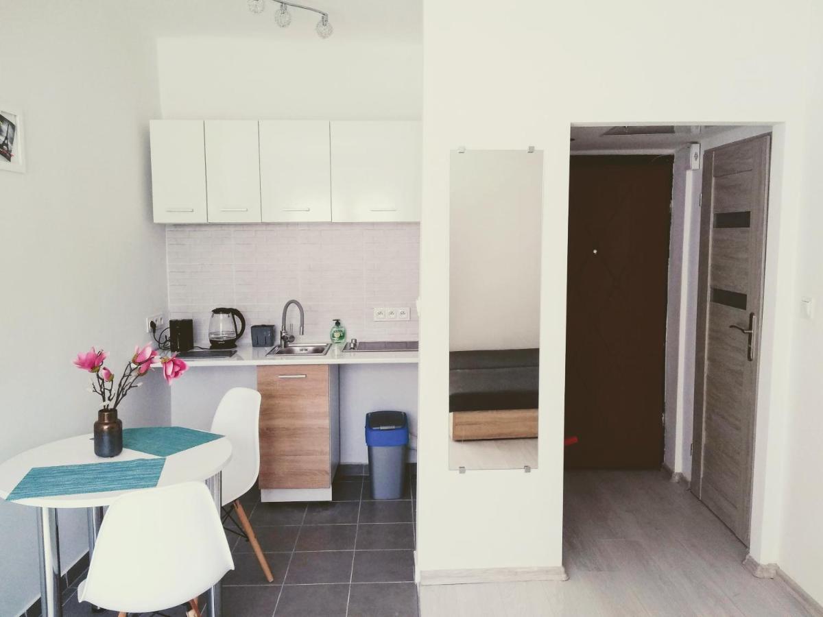 Apartmán Studio Centrum - 1 Maja 16 Zabrze Exteriér fotografie