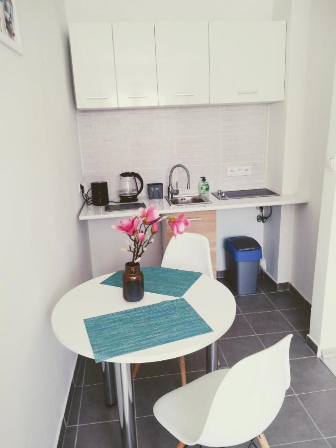 Apartmán Studio Centrum - 1 Maja 16 Zabrze Exteriér fotografie